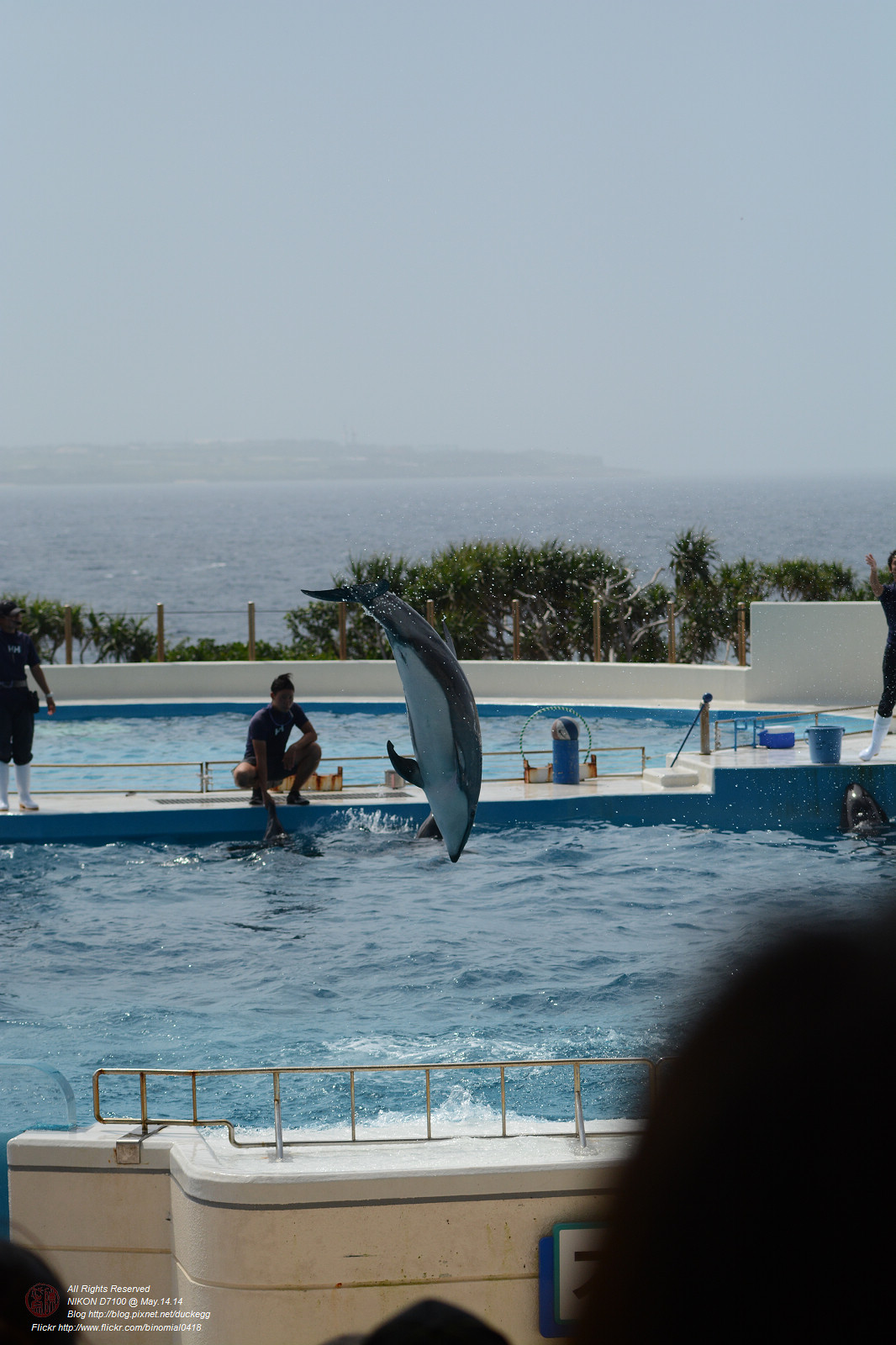 DSC_3080.jpg